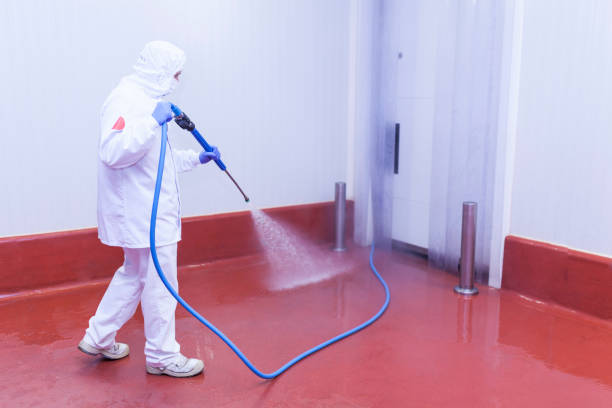 Best Sign and Awning Cleaning  in Blossom, TX